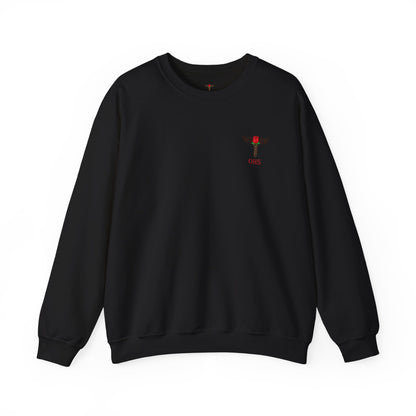 Labor & Delivery Sweatshirt